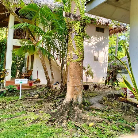 The Sylvia San Juan (Siquijor) Exterior photo